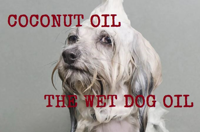 Coconut Oil, the wet dog oil in the room